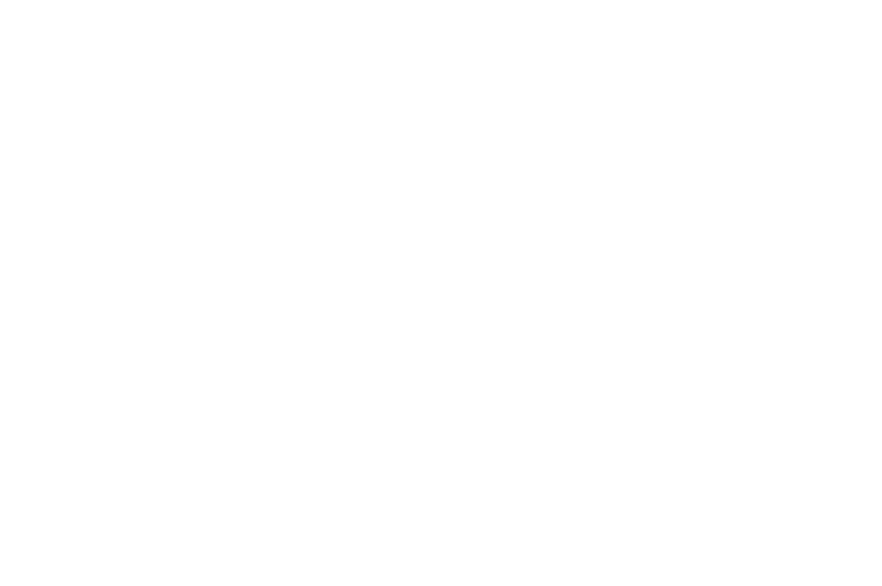The French Duck Film Festival — Finalist — 2023