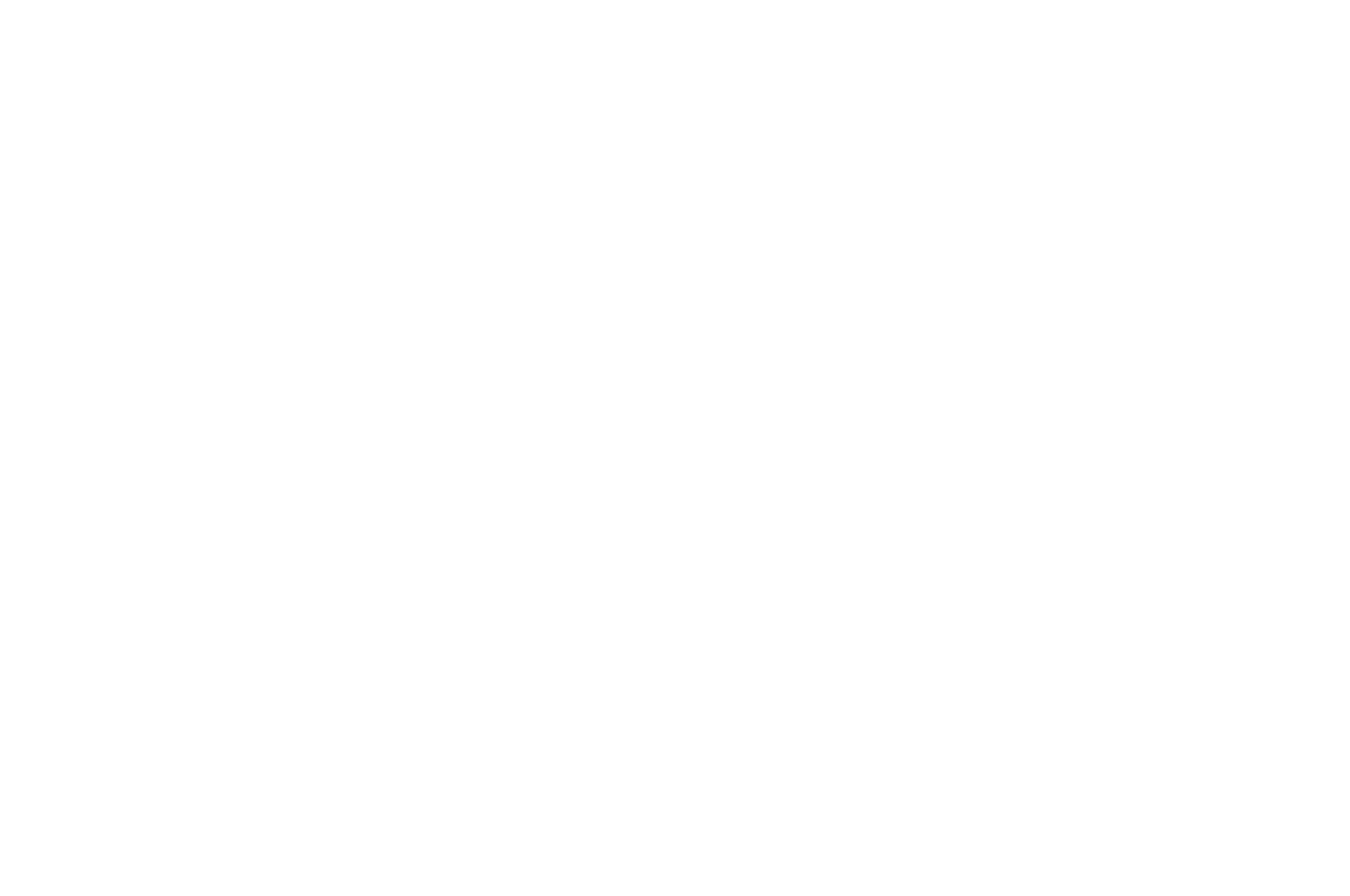 The Paus Premieres Festival — Official Selection — 2022